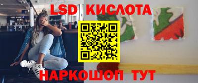индика Гусев