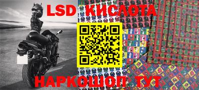 индика Гусев