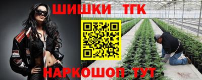 индика Гусев