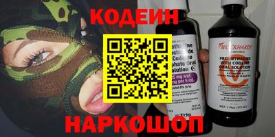 индика Гусев