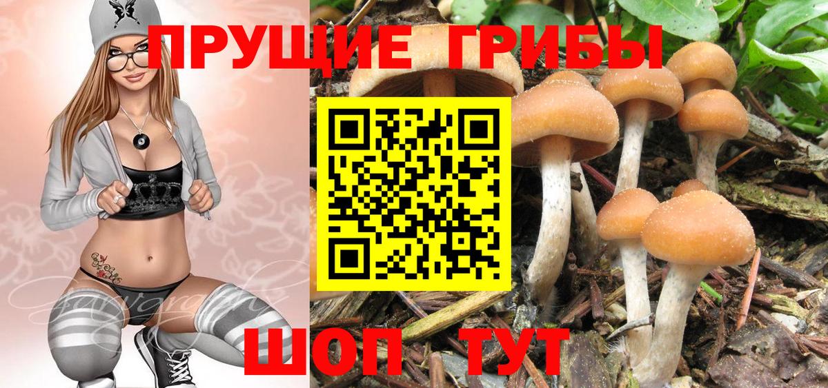 Галлюциногенные грибы Psilocybine cubensis  Вход с VPN  Галлюциногенные грибы мухоморы  Лесосибирск 